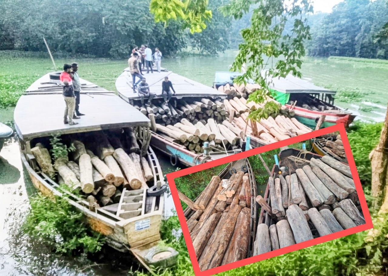রাঙামাটিতে বন বিভাগের অভিযান, ৪ বোটভর্তি কোটি টাকার সেগুন কাঠ জব্দ।